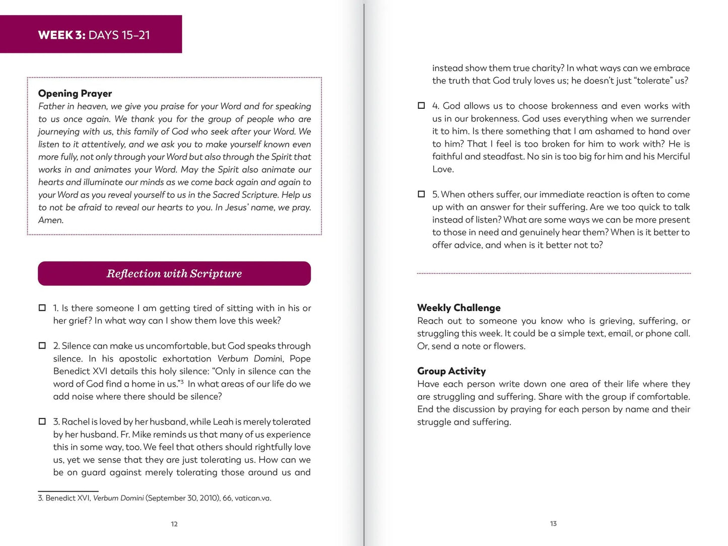 The Bible in a Year: Study Guide - by Fr. Mike Schmitz
