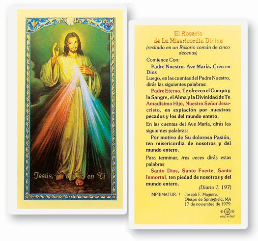 El Rosario de La Misericordia Divina - Holy Card
