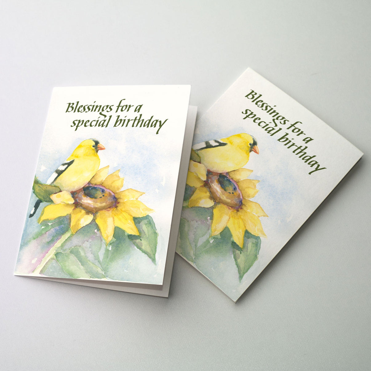 Blessings For A Special Birthday Greeting Card