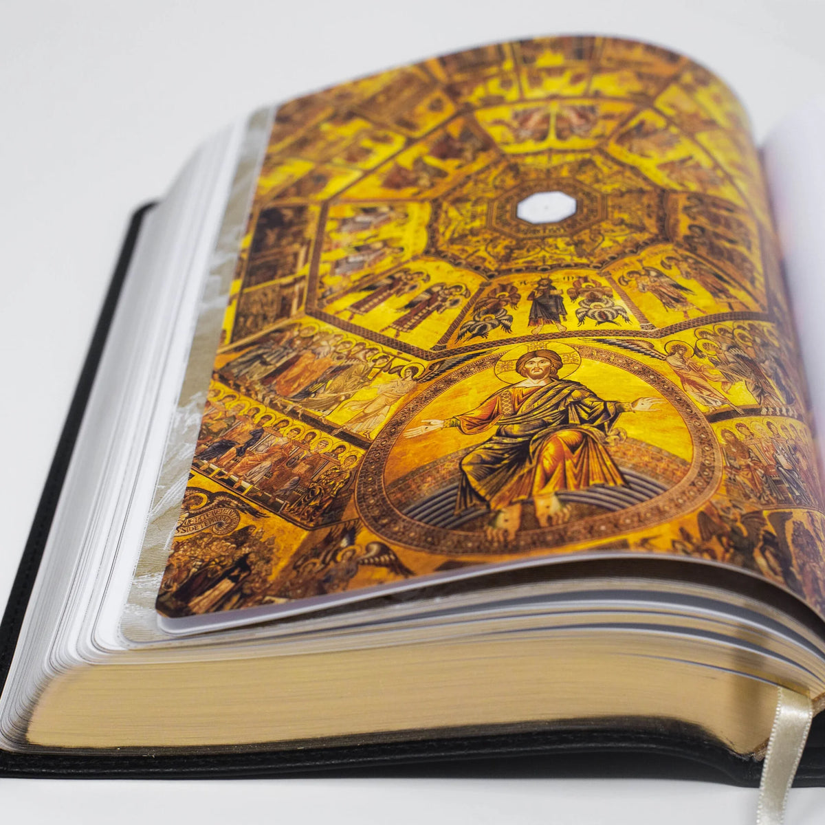 The Word on Fire Bible: NRSV-CE with Commentary (Volume I-5 Available)