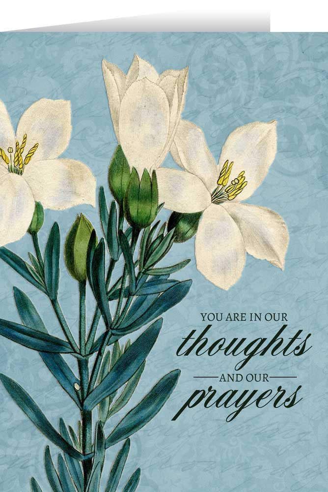 " You Are In Our Thoughts " Sympathy Card