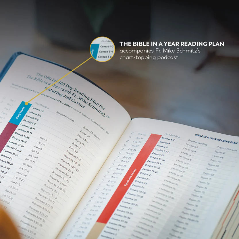 The Great Adventure Catholic Bible - (RSV-2CE Study Bible)