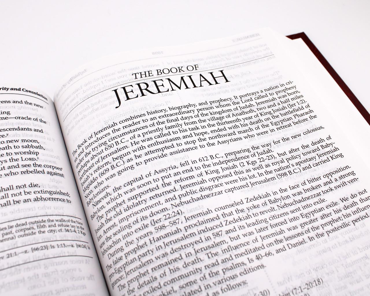 New American Bible: Revised Edition - Hardcover