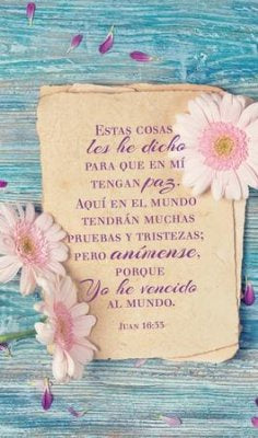 Tengan paz, cuadro de madera (Juan 16:33)