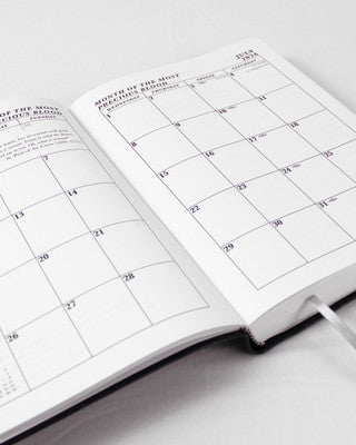 2026 JMJ Daily Planner / 12 Month Calendar