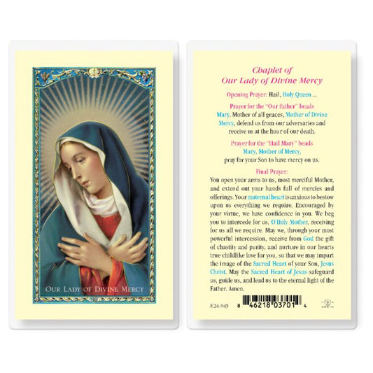 Chaplet Of Our Lady Of Divine Mercy Holy Card