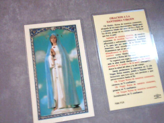 Oracion a La Santisima Virgen Holy Card