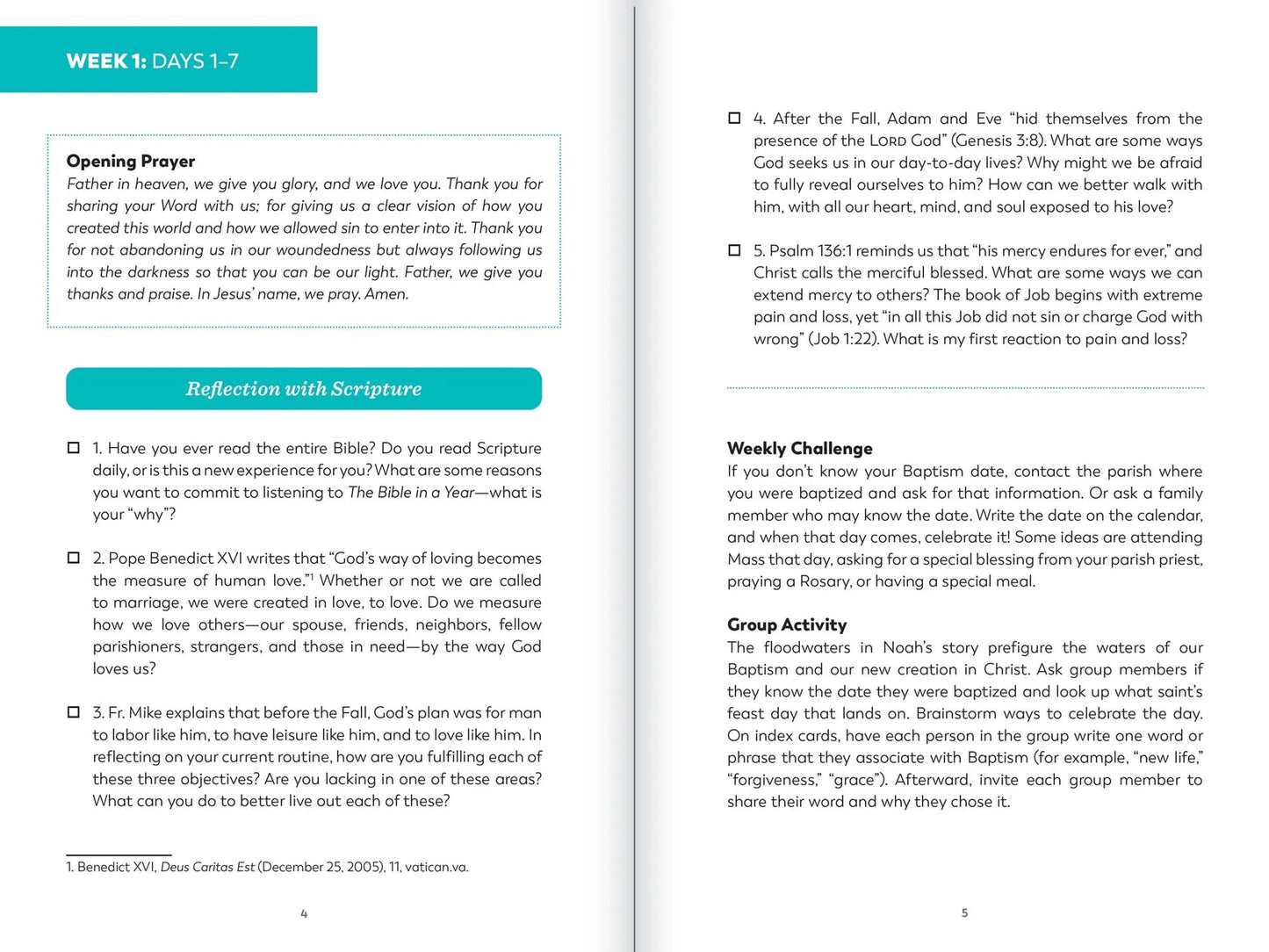 The Bible in a Year: Study Guide - by Fr. Mike Schmitz