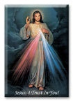 Divine Mercy Magnet and Plaque