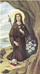 Novena To St. Rosalia of Palermo Holy Card