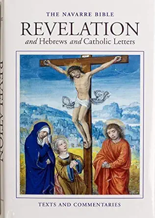 Revelation Navarre Bible