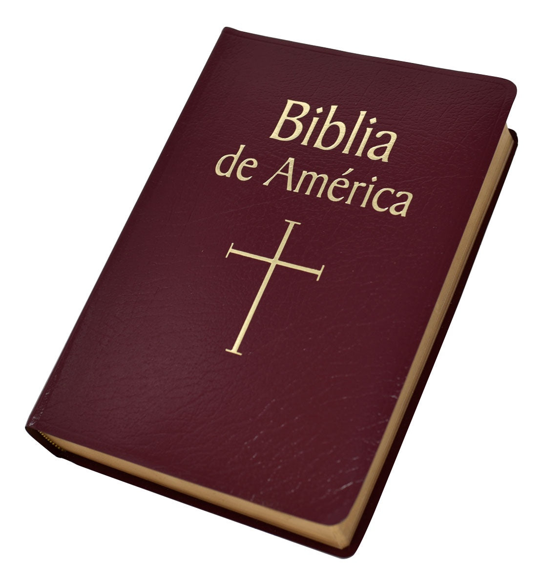 Biblia de America (Color Variants)