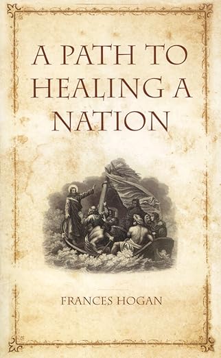 USED: A Path To Healing A Nation by Frances Hogan