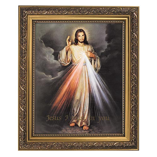 The Divine Mercy Framed Print