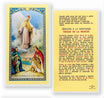Our Lady of Mercy