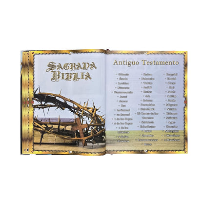 Sagrada Biblia Católica Edición Especial de Arte