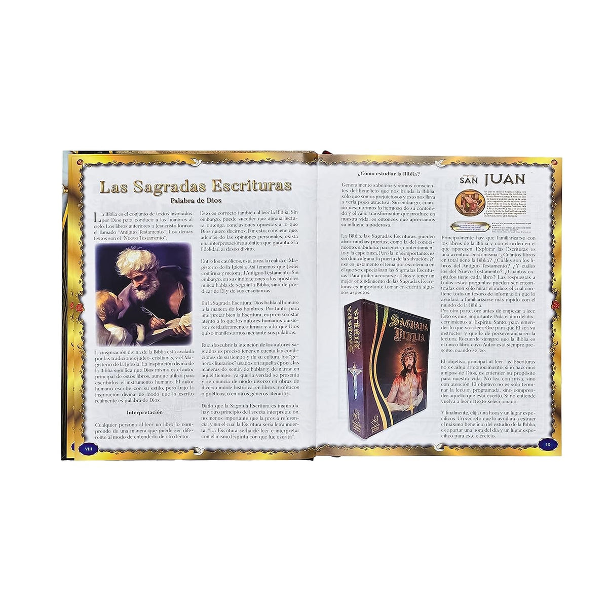 Sagrada Biblia Católica Edición Especial de Arte