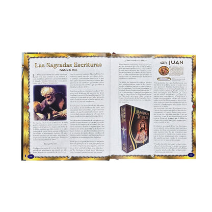 Sagrada Biblia Católica Edición Especial de Arte