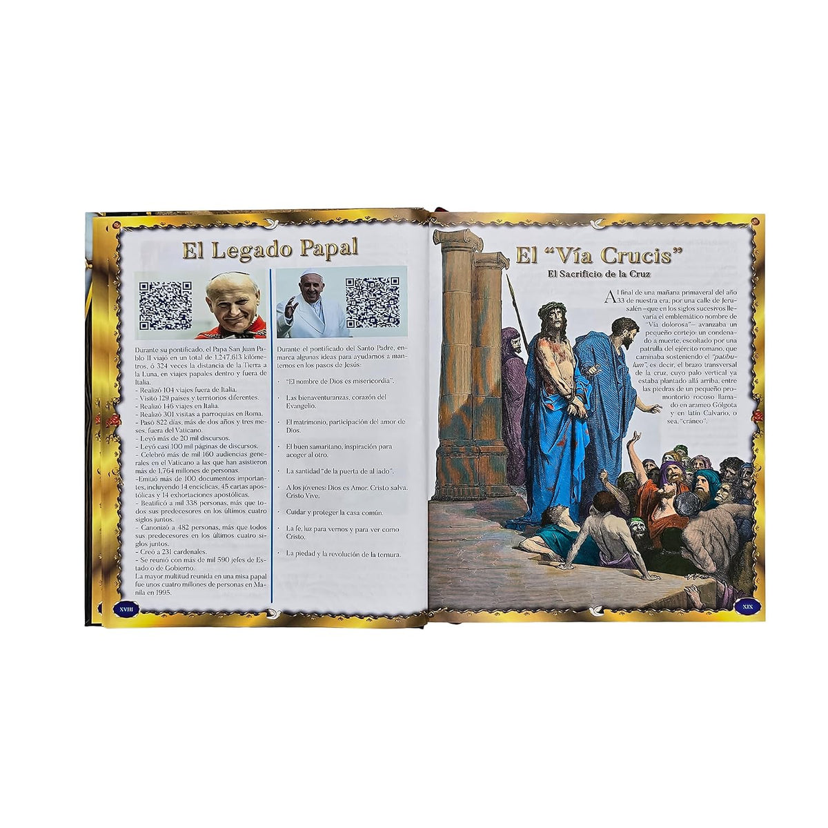 Sagrada Biblia Católica Edición Especial de Arte