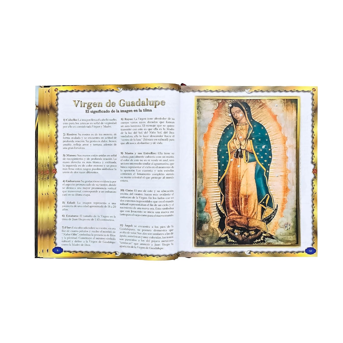 Sagrada Biblia Católica Edición Especial de Arte