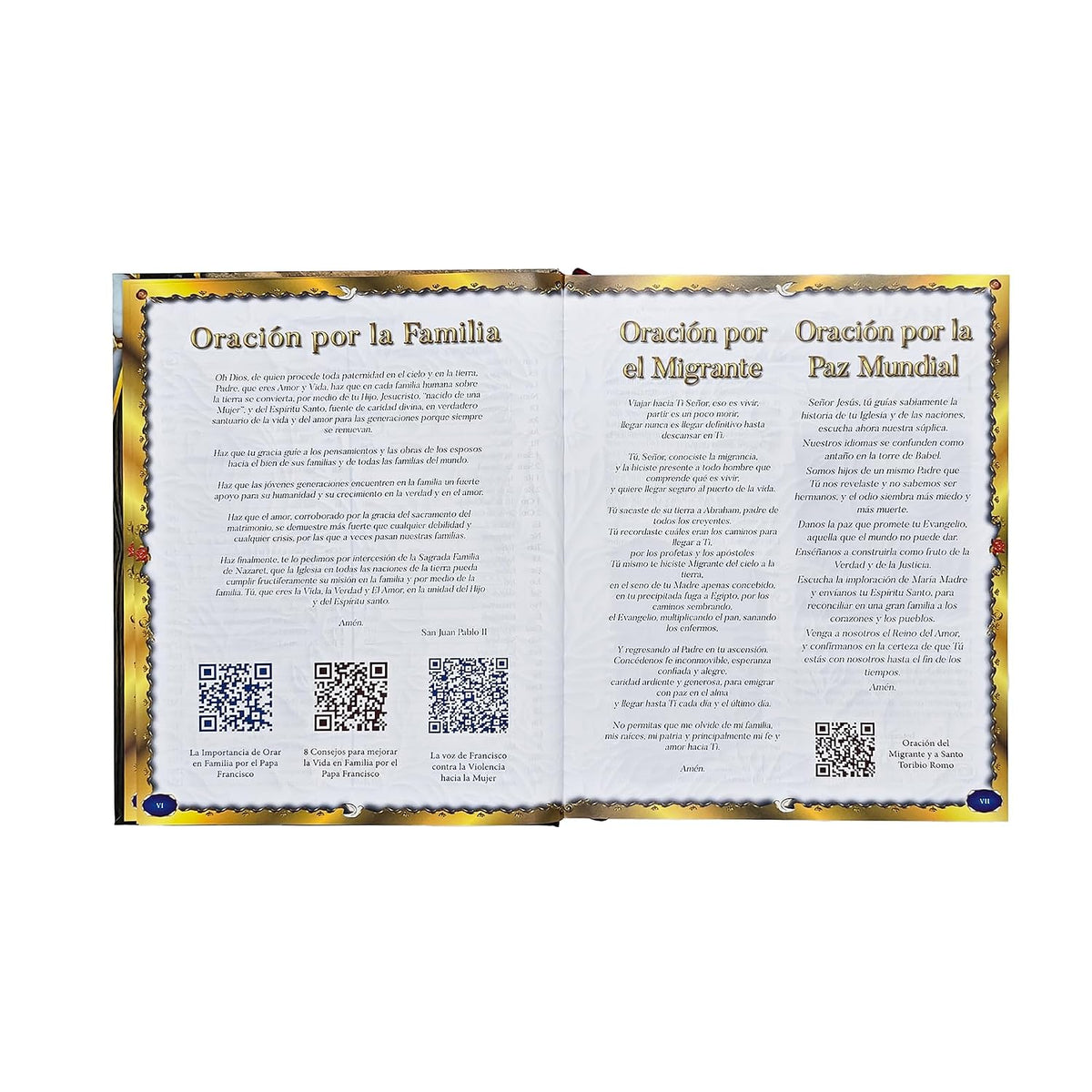 Sagrada Biblia Católica Edición Especial de Arte