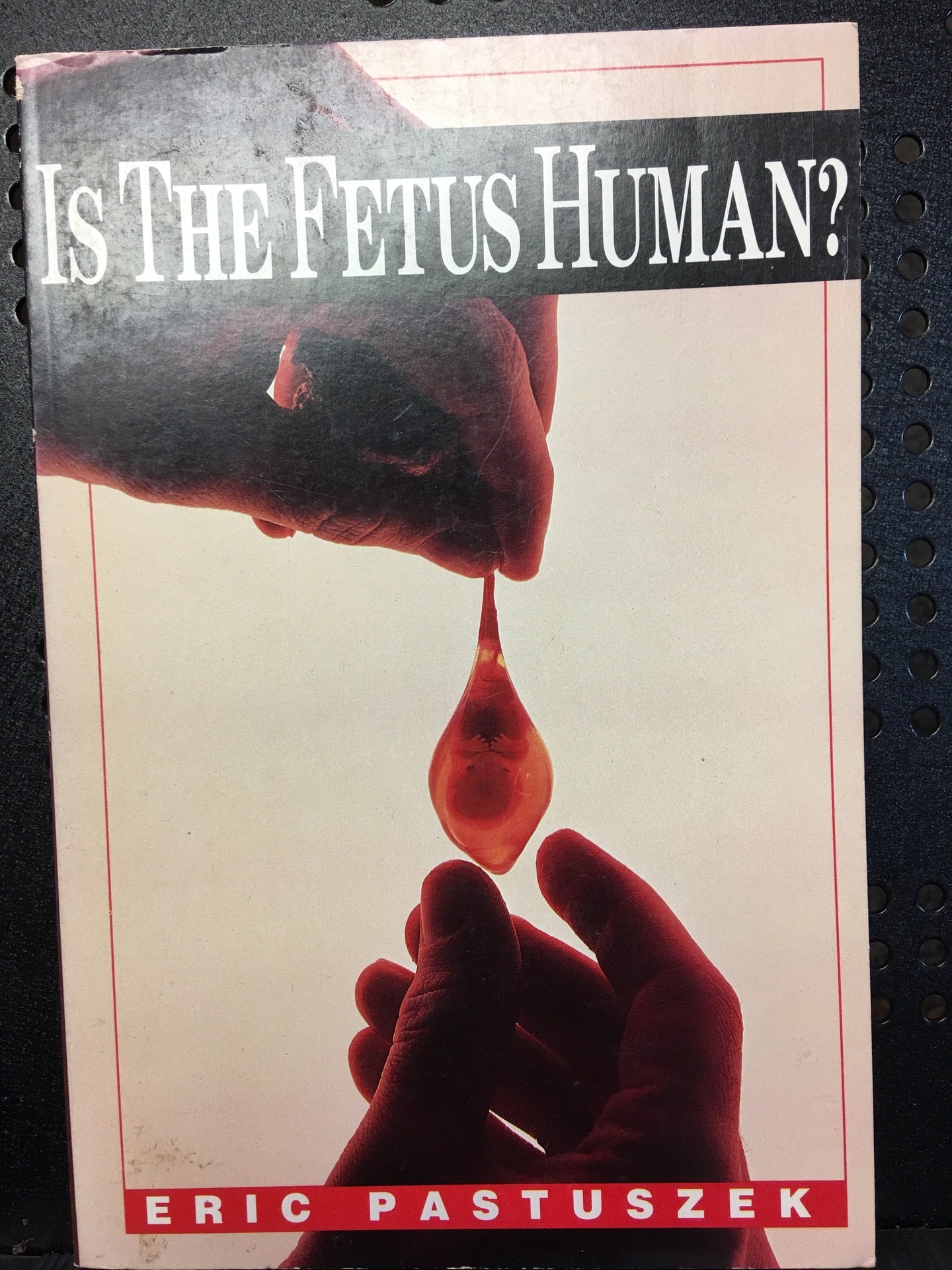 Is the fetus human? - Book