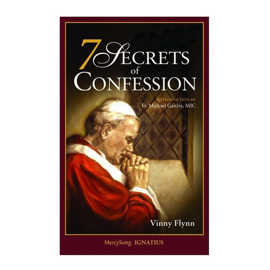 USED: 7 Secrets Of Confession By Vinny Flynn