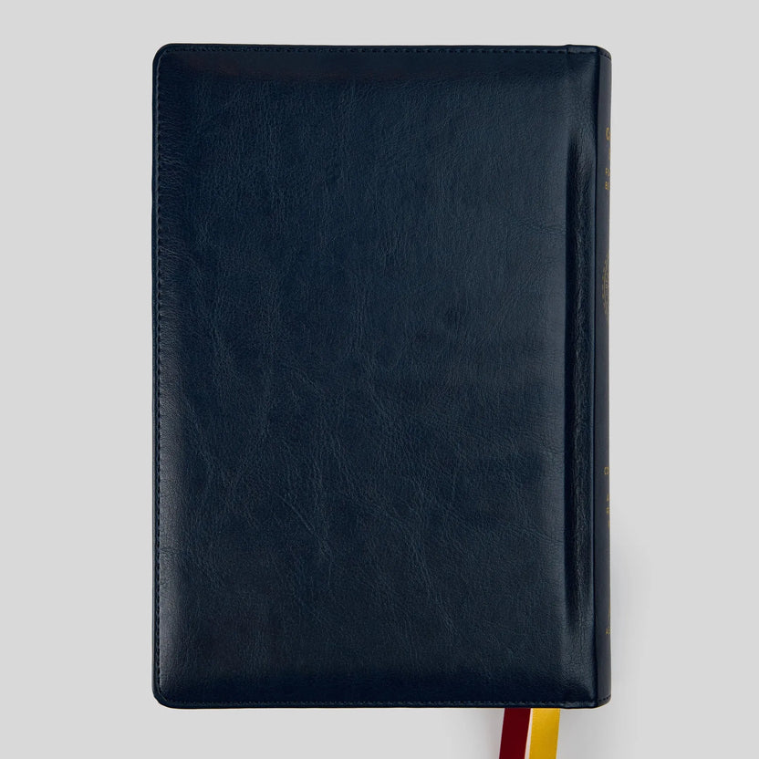 For Young Beginners: The Great Adventure Catholic Bible - (RSV-2CE)