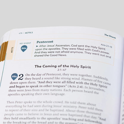 For Young Beginners: The Great Adventure Catholic Bible - (RSV-2CE)
