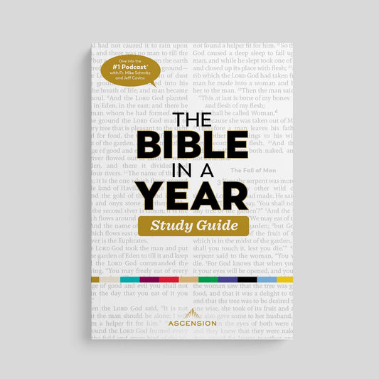 The Bible in a Year: Study Guide - by Fr. Mike Schmitz