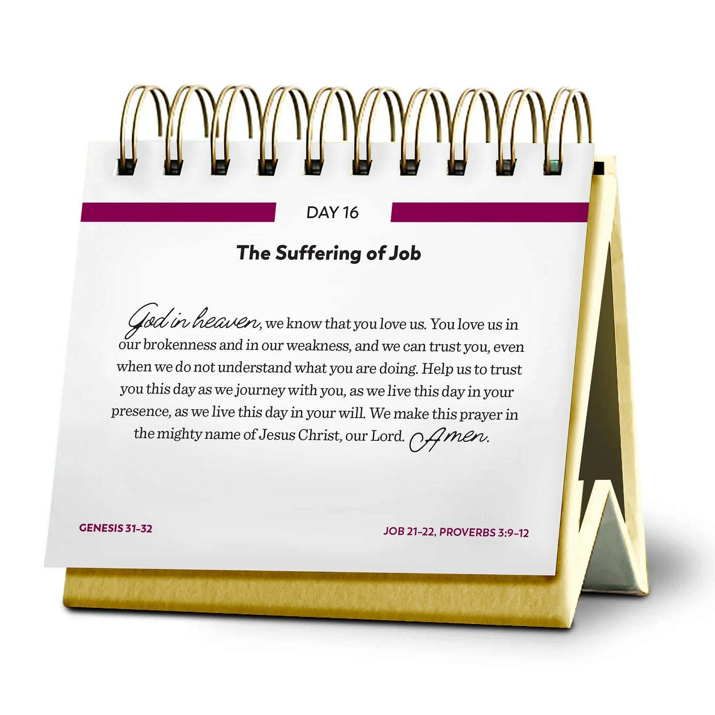 Bible in a Year Perpetual Desk Calendar - 365