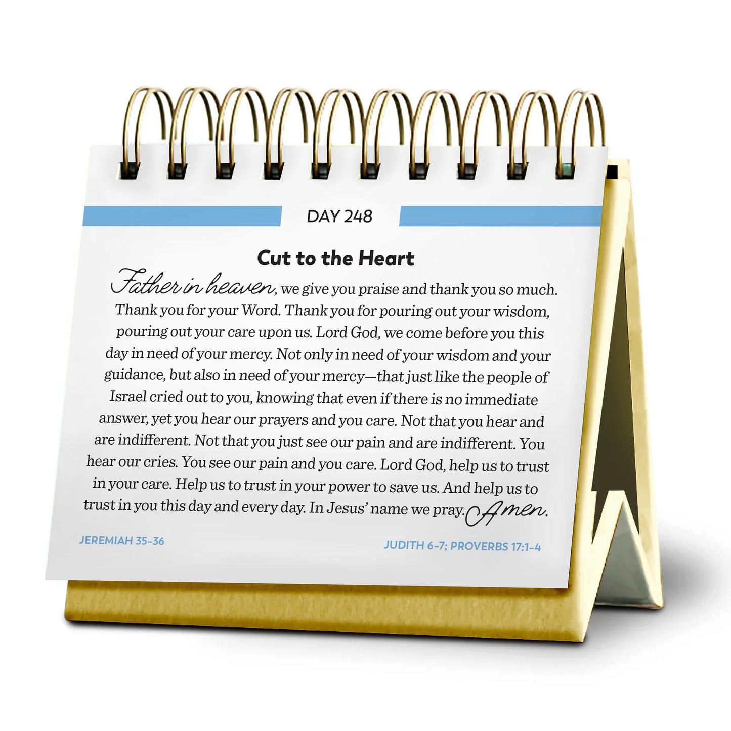 Bible in a Year Perpetual Desk Calendar - 365