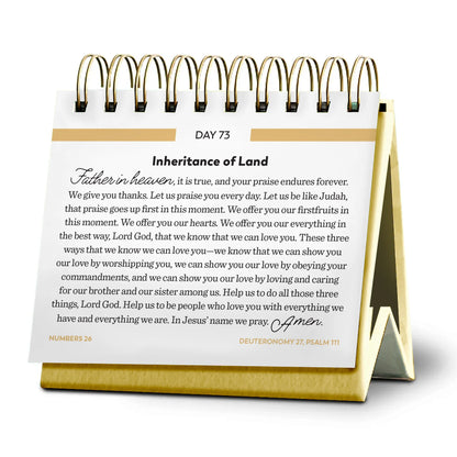 Bible in a Year Perpetual Desk Calendar - 365