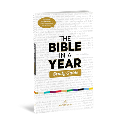 The Bible in a Year: Study Guide - by Fr. Mike Schmitz