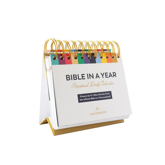 Bible in a Year Perpetual Desk Calendar - 365