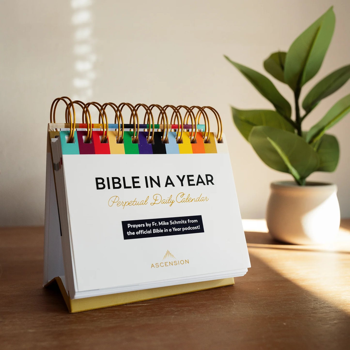 Bible in a Year Perpetual Desk Calendar - 365