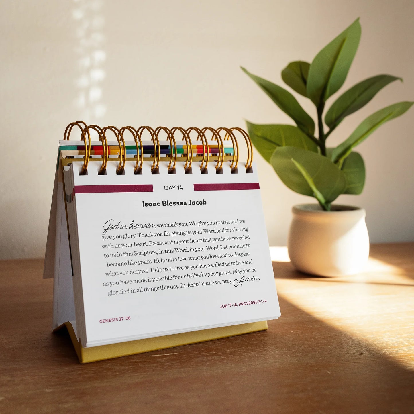 Bible in a Year Perpetual Desk Calendar - 365