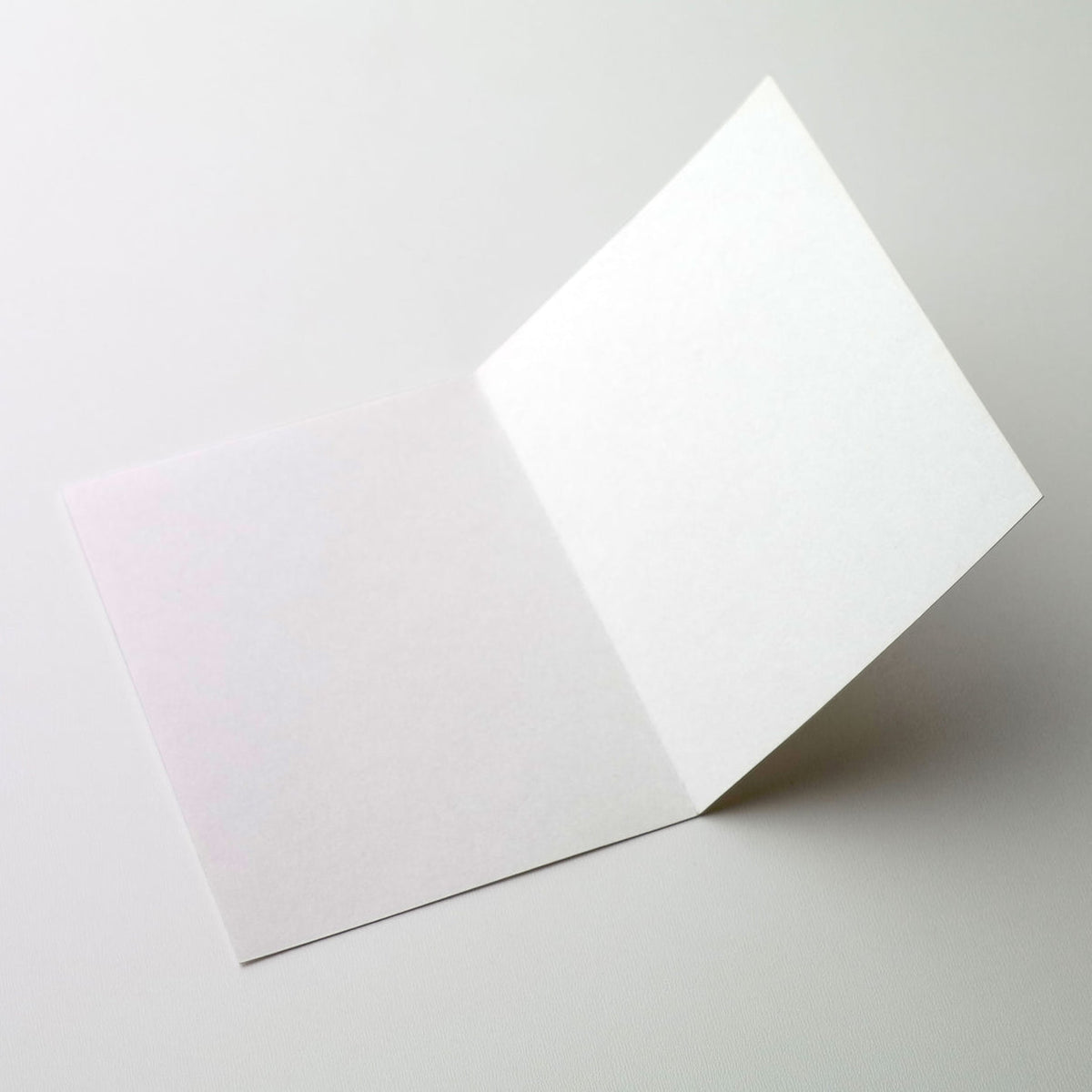 Thank You Cards - Boxed Set of 12