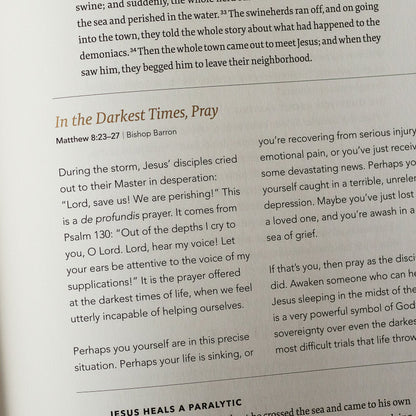 The Word on Fire Bible: NRSV-CE with Commentary (Volume I-5 Available)
