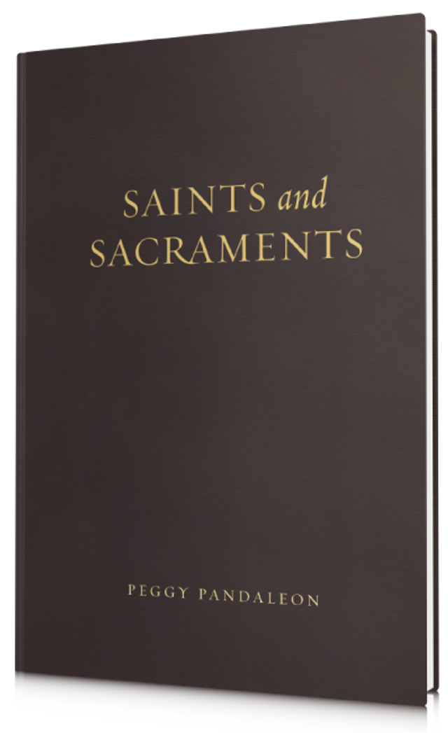 USED - Saints and Sacraments: Companion Book to The Sacraments Study Program - by Peggy Pandaleon