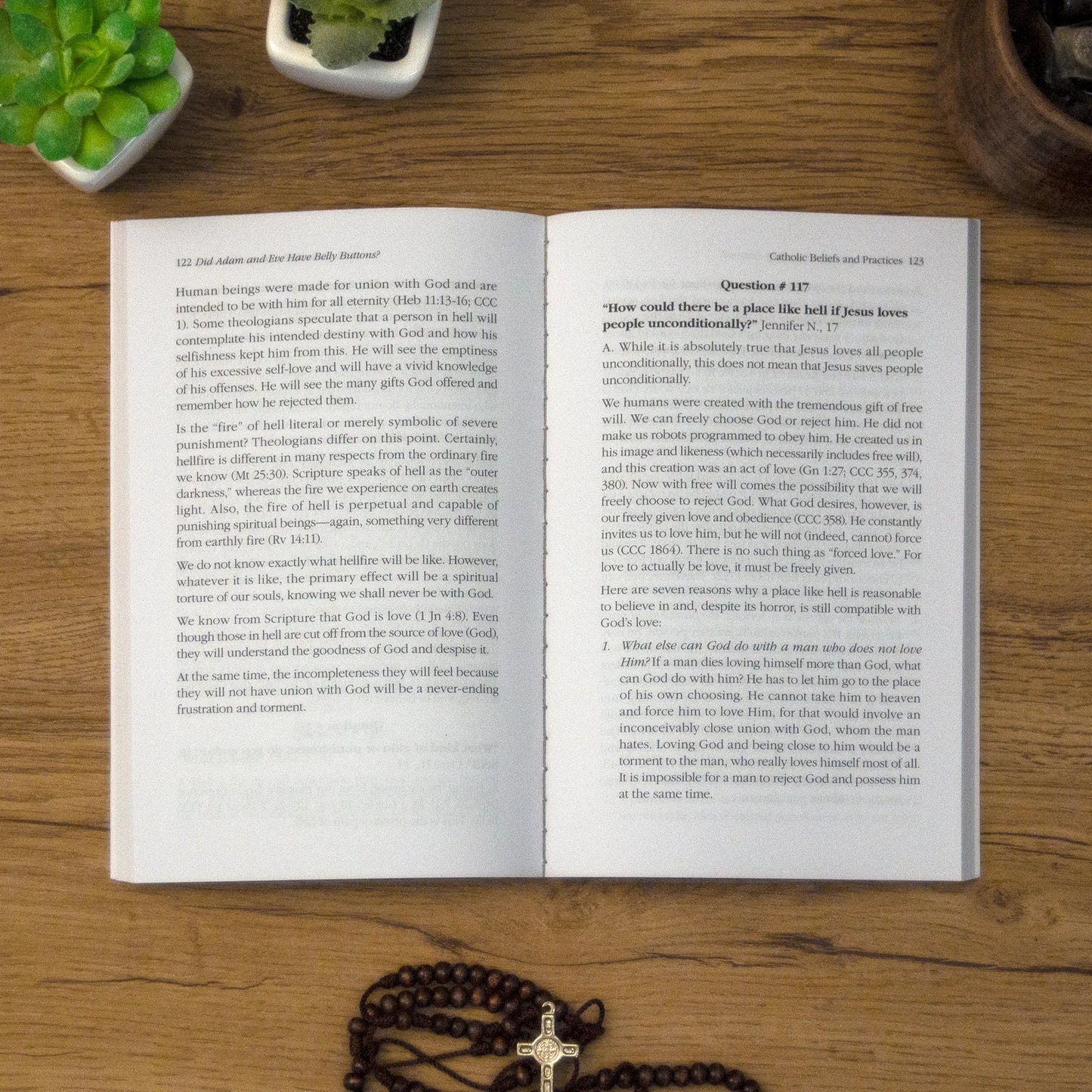 Did Adam & Eve Have Belly Buttons? Revised Edition - by Matthew Pinto