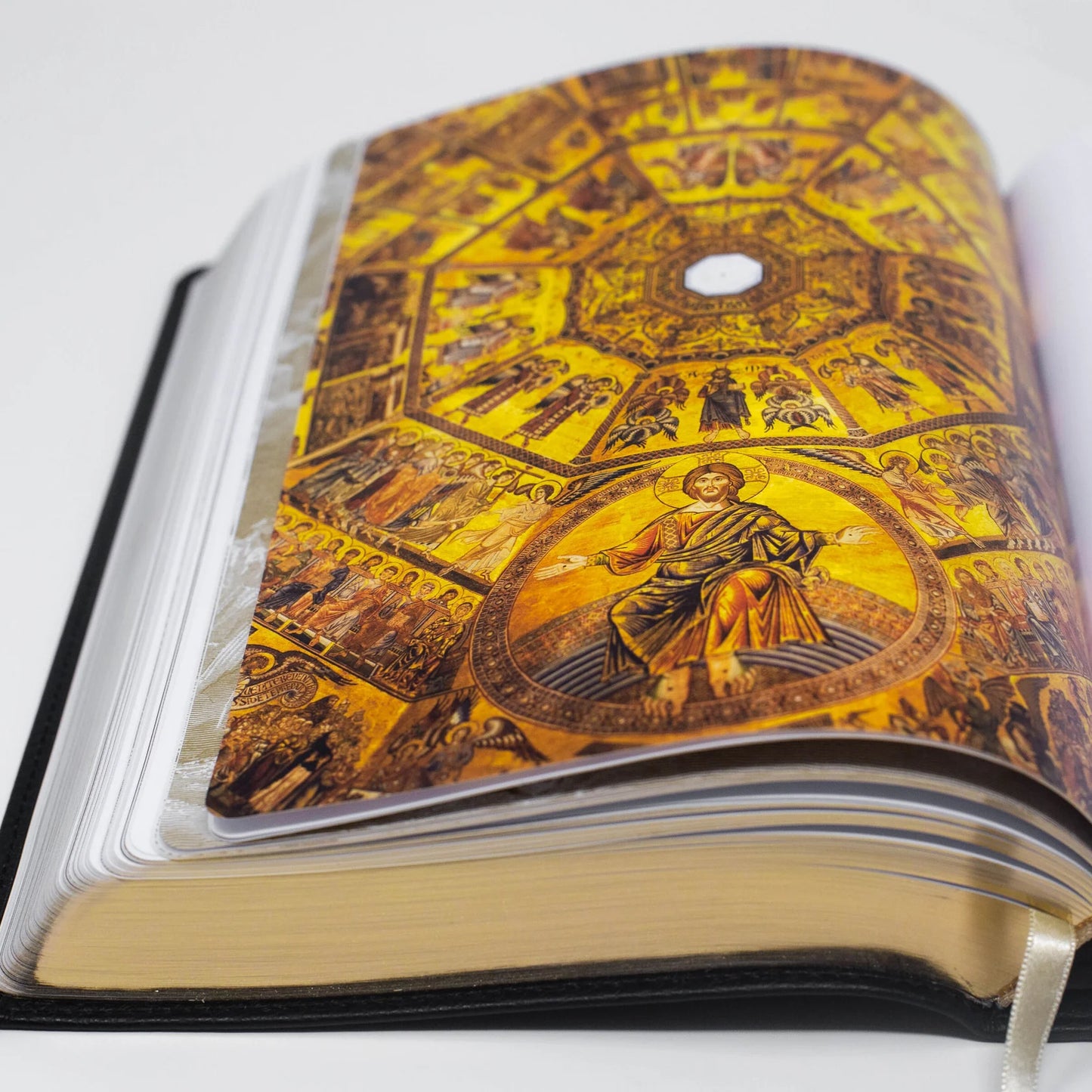 The Word on Fire Bible: NRSV-CE with Commentary (Volume I-5 Available)