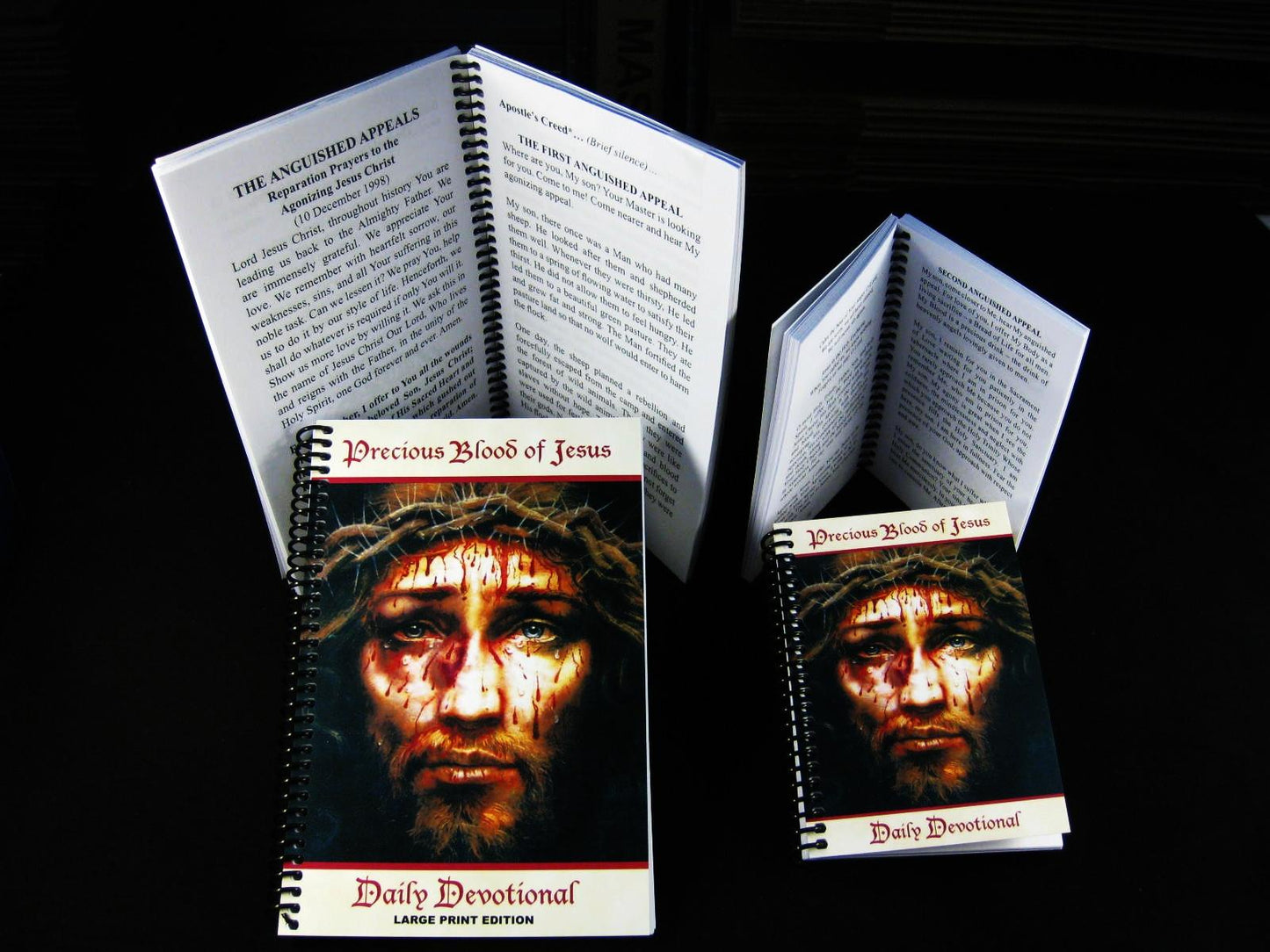 Precious Blood of Jesus, Daily Devotional (English or Spanish)