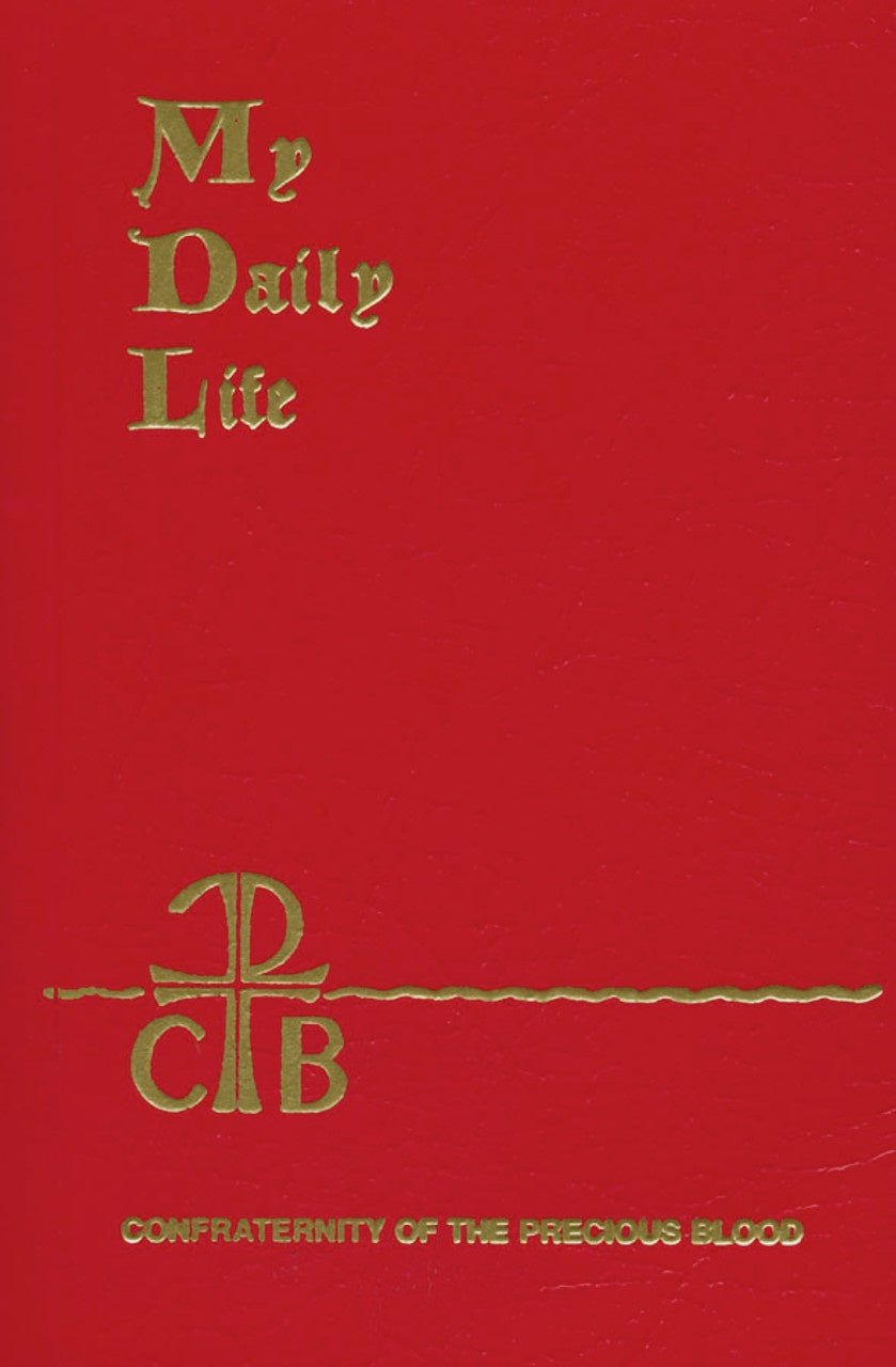 My Daily Life - by Fr. Anthony J. Paone, SJ