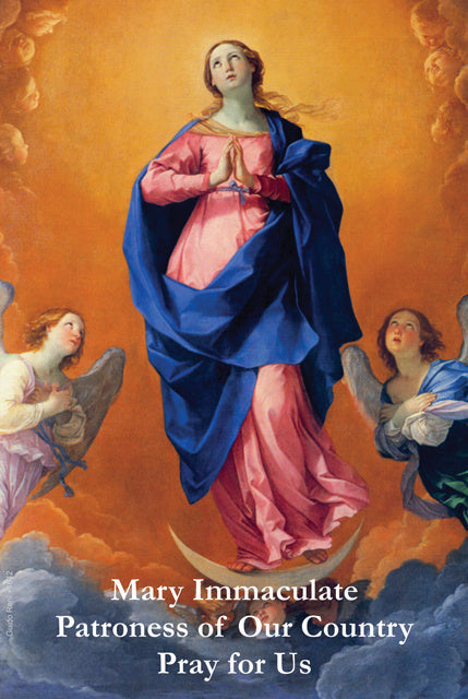 Immaculate Conception Prayer Card for Religious Liberties