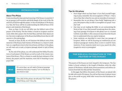 The Rosary in a Year Prayer Guide - by Fr. Mark-Mary Ames CFR