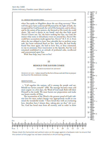 Divine Intimacy: Meditations on the Interior Life for Every Day of the Liturgical Year by Father Gabriel of St Mary Magdalen, O.C.D.