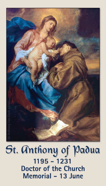 St. Anthony of Padua - Holy Card