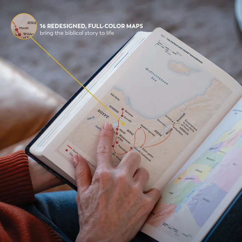 The Great Adventure Catholic Bible - (RSV-2CE Study Bible)