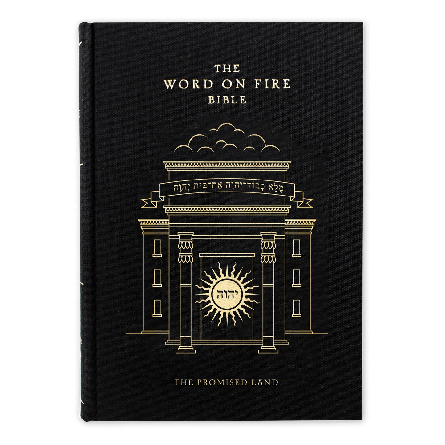 The Word on Fire Bible: NRSV-CE with Commentary (Volume I-5 Available)